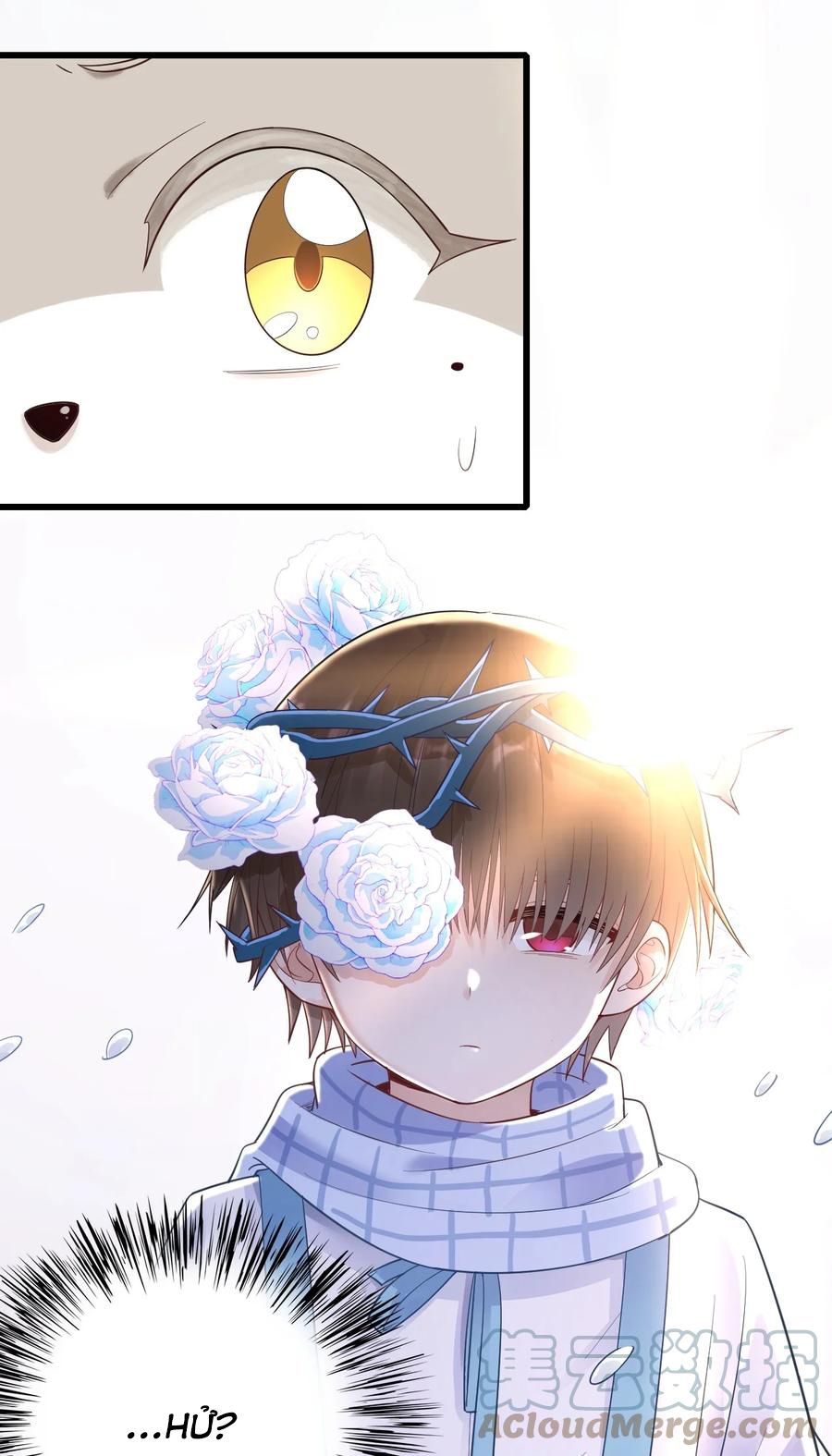 tức thời phạm quy [ tức thì vi quy ] chapter 27 5