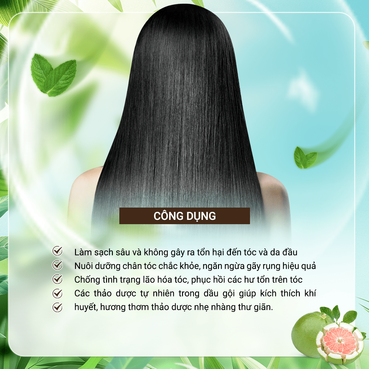 [Thảo Dược Thật] Dầu gội bồ kết, dầu gội thảo dược phụ hồi tóc, ngăn ngừa gãy rụng - Ngưu Cân Thảo Chai 1000ml