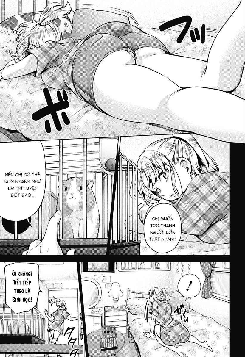 dàn harem cuối cùng chapter 117 13