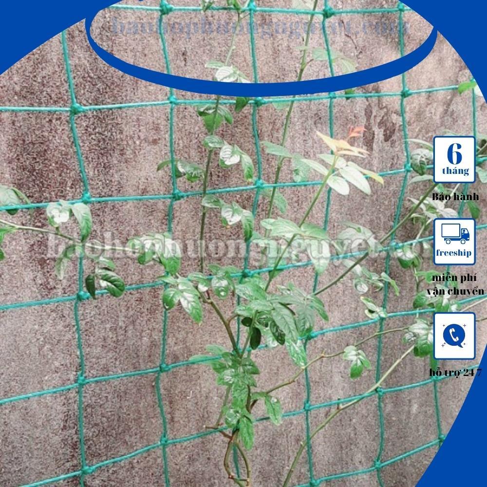 Lưới giàn leo,lưới giàn cây