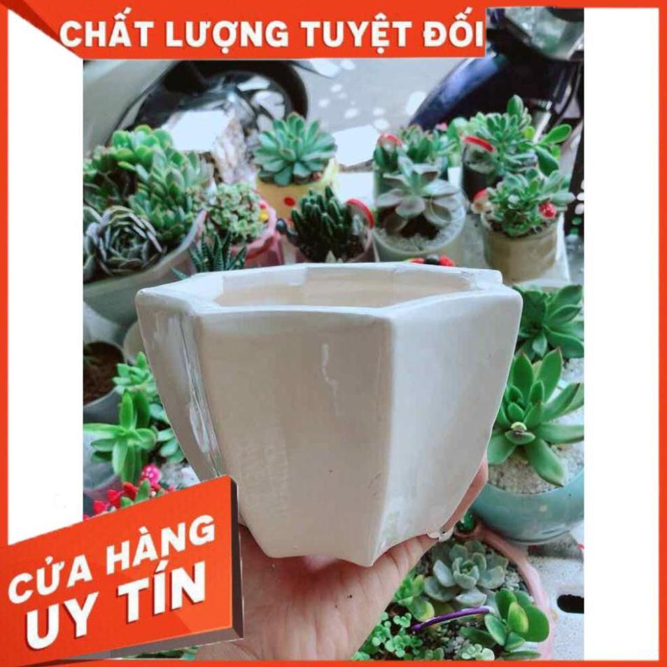 Chậu tráng men Nhiều Người Mua