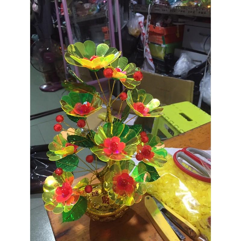 Cây kim tiền trang trí hoa lưu ly 30cm phk shop