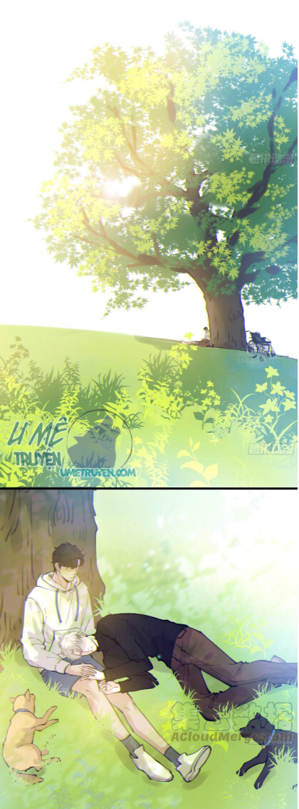 đêm sao chapter 40 9