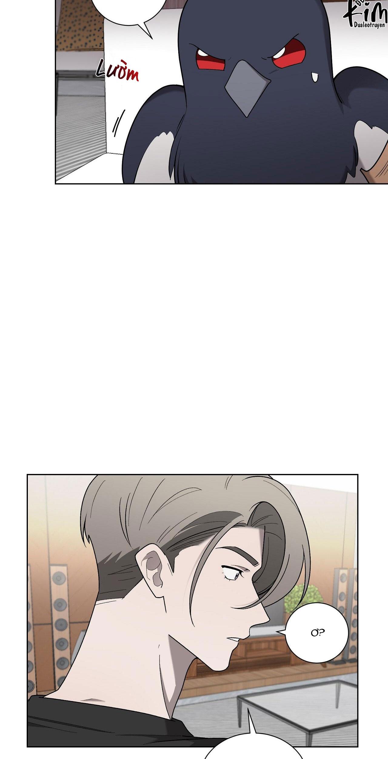 khi chim thước đến chapter 19 6