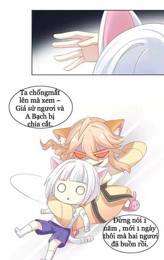 dưới móng vuốt mèo chapter 9 19