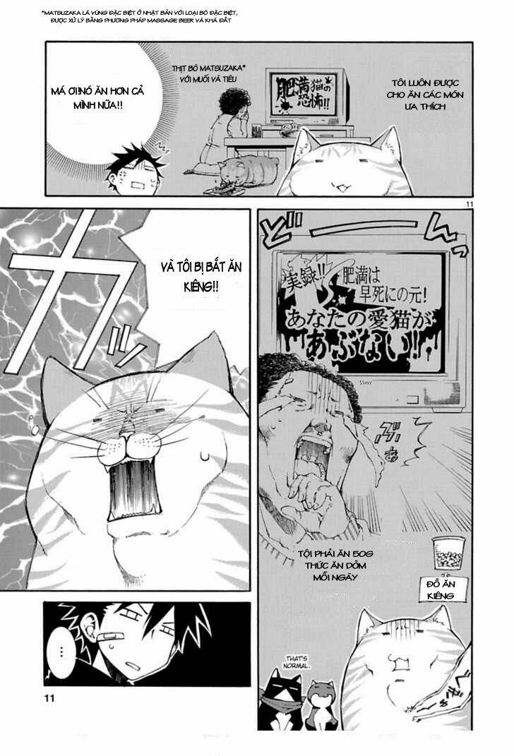nyankoi! chapter 8 12