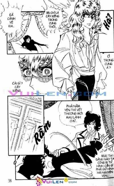 hoa hồng véc-xây chapter 7 38