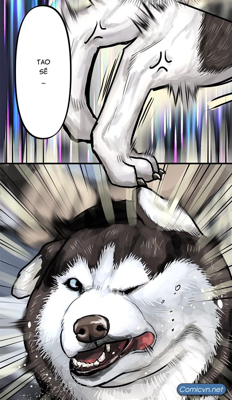 vua sinh tồn chapter 68 17