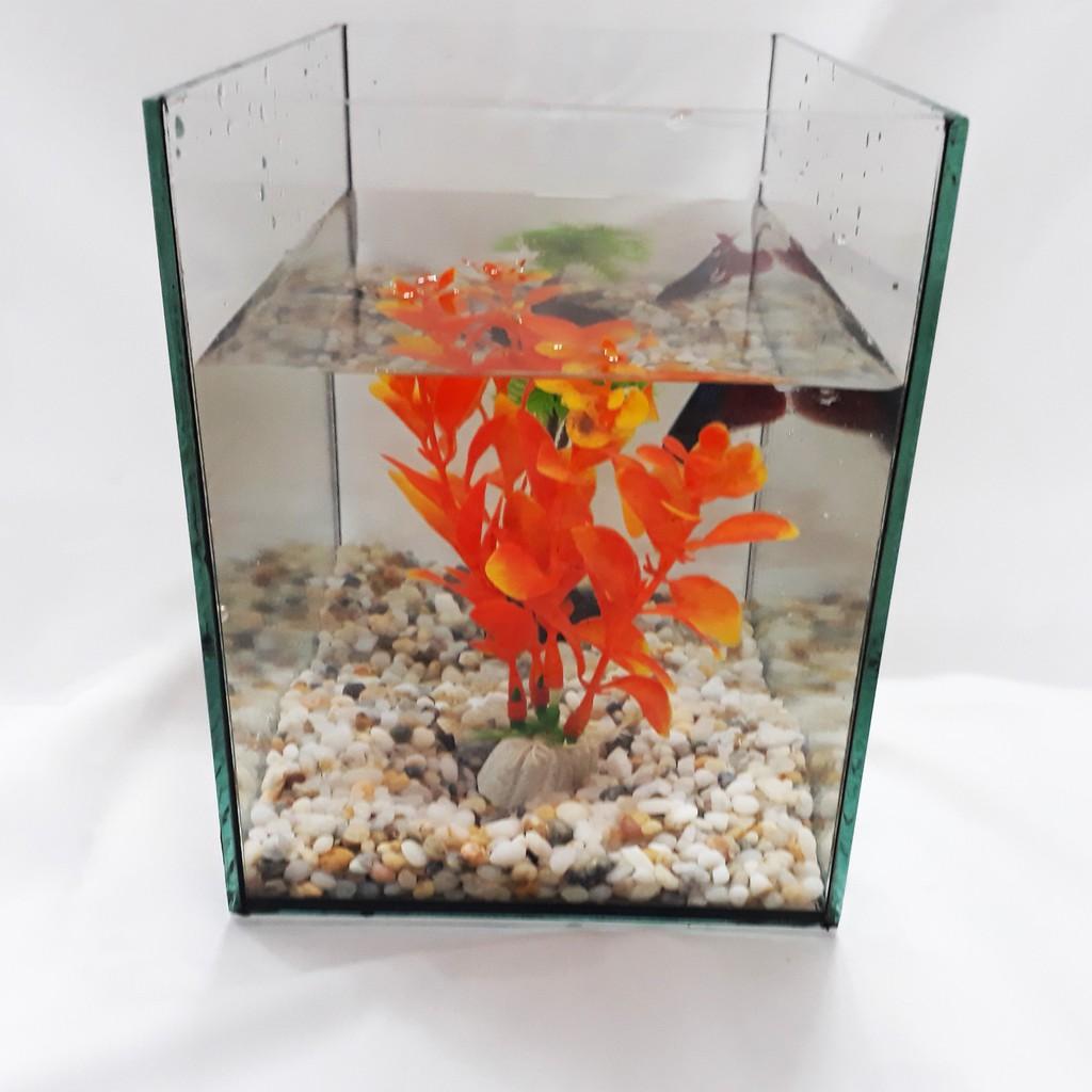 Hồ Cá Vuông Để Bàn HV 18x12x15 - Bể Cá Mini Để Bàn Thủy Tinh