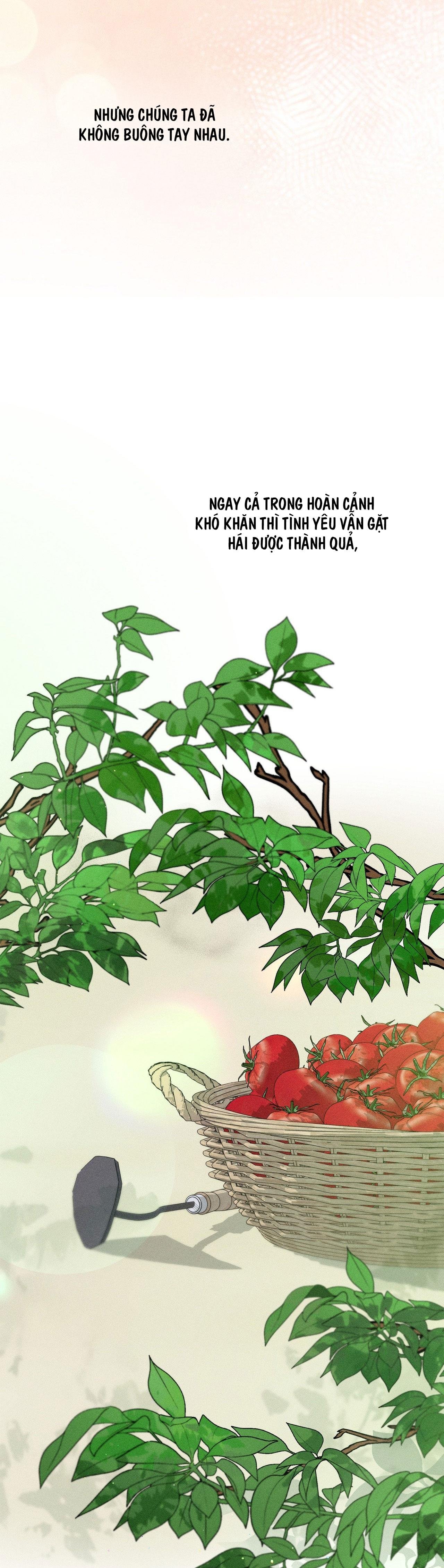cùng nâng tạ nhé chapter 38 33