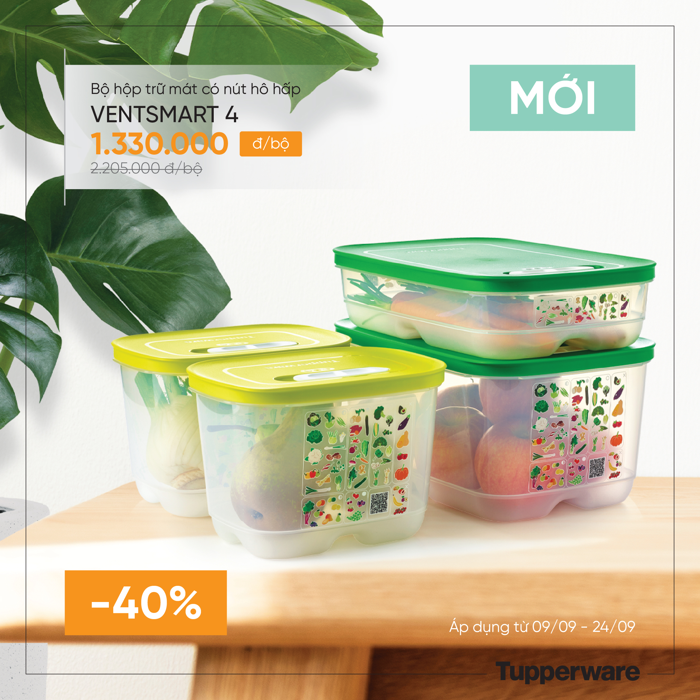 Bộ hộp trữ mát có nút hô hấp Ventsmart 4 hộp