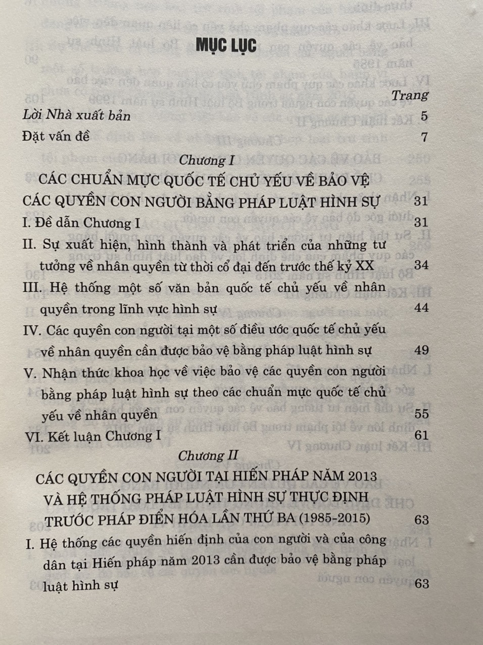 Bảo vệ các quyền con người bằng pháp luật hình sự thực định Việt Nam