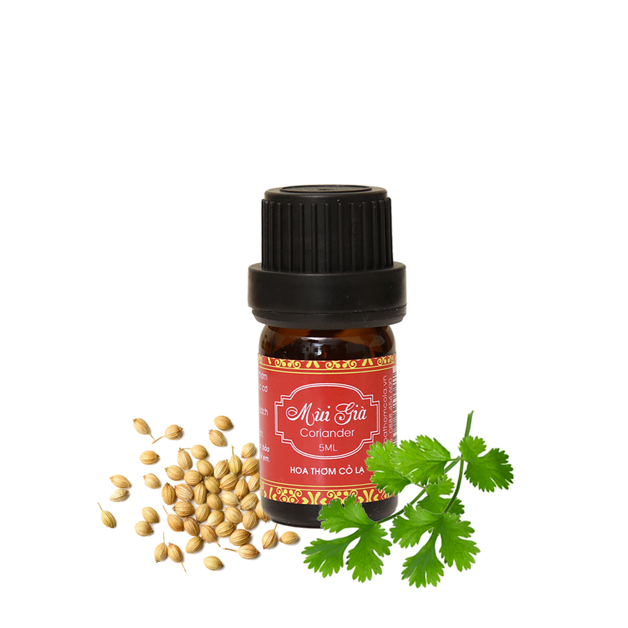 Tinh dầu Mùi già - Coriander Essential Oil - Hoa Thơm Cỏ Lạ