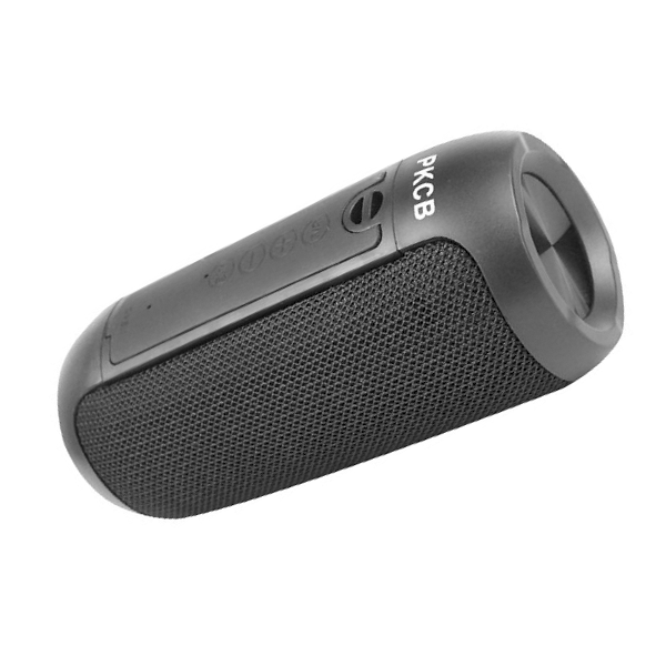 Loa Bluetooth speaker không dây PKCB250 - Hàng Chính Hãng