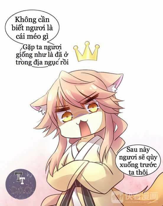 dưới móng vuốt mèo chapter 5 22