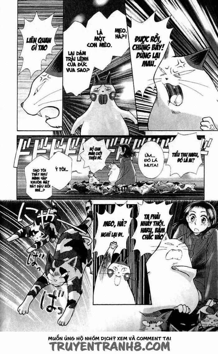 mimi wo sumaseba - lời thì thầm từ trái tim chapter 7 42