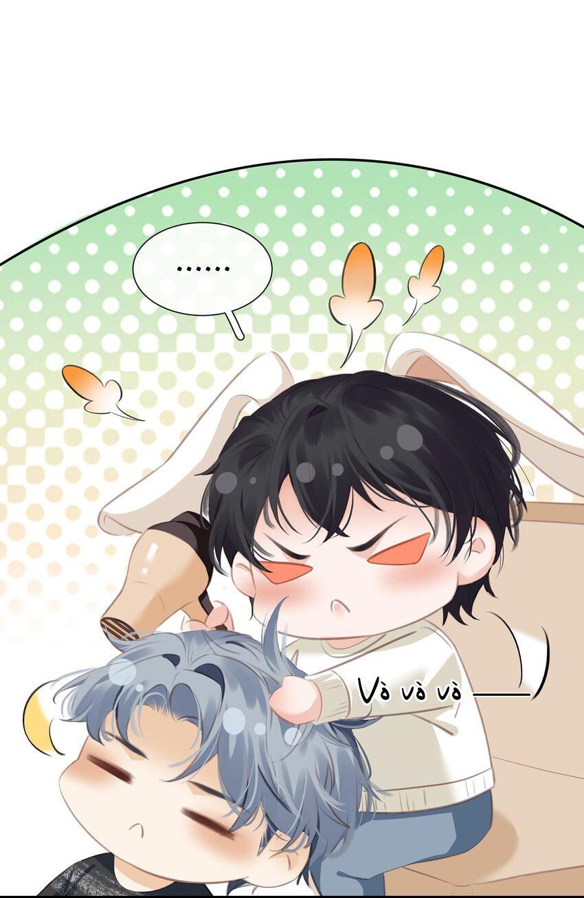 không làm trai bao! chapter 86 13