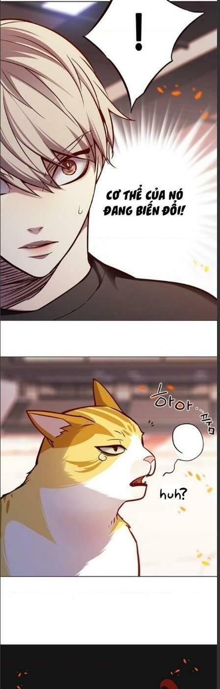 biến thân thành mèo chapter 162 30