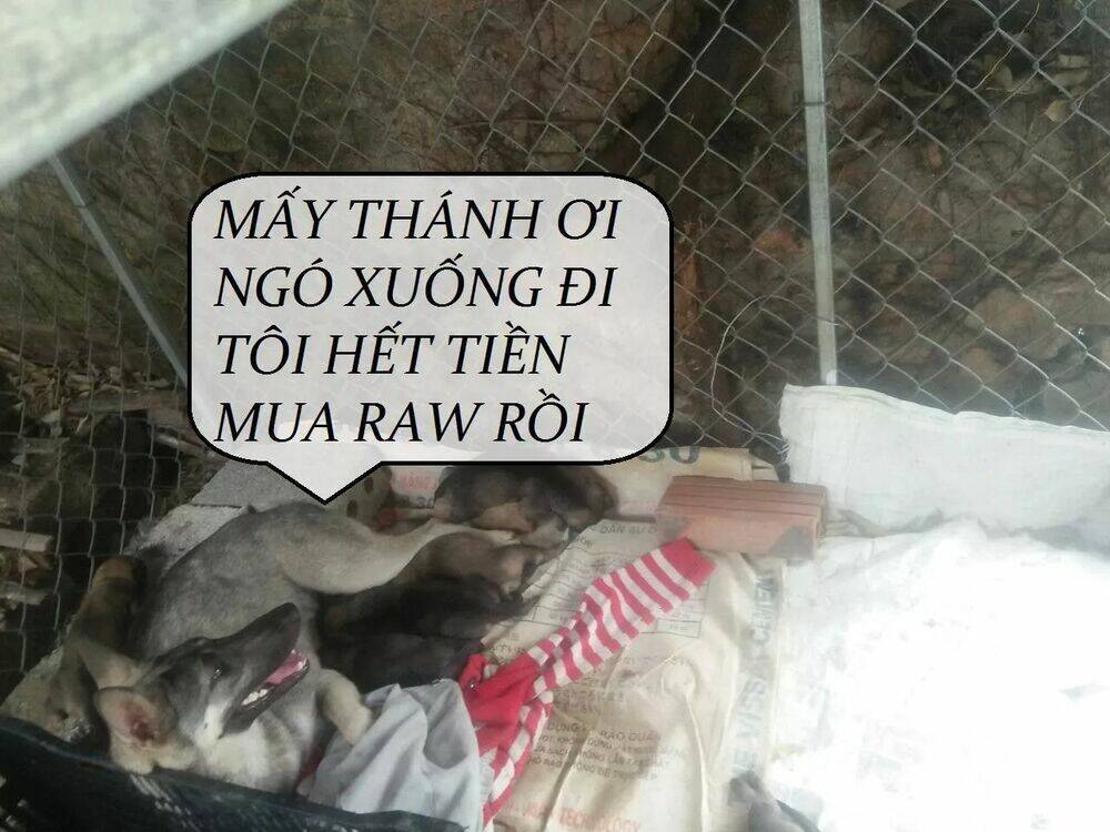 độc phi thần y quá kiêu ngạo chapter 68 53