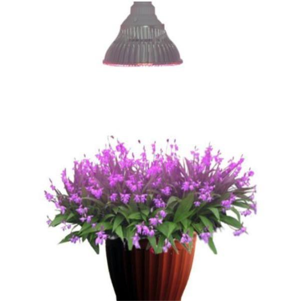 Led trồng cây Skylife