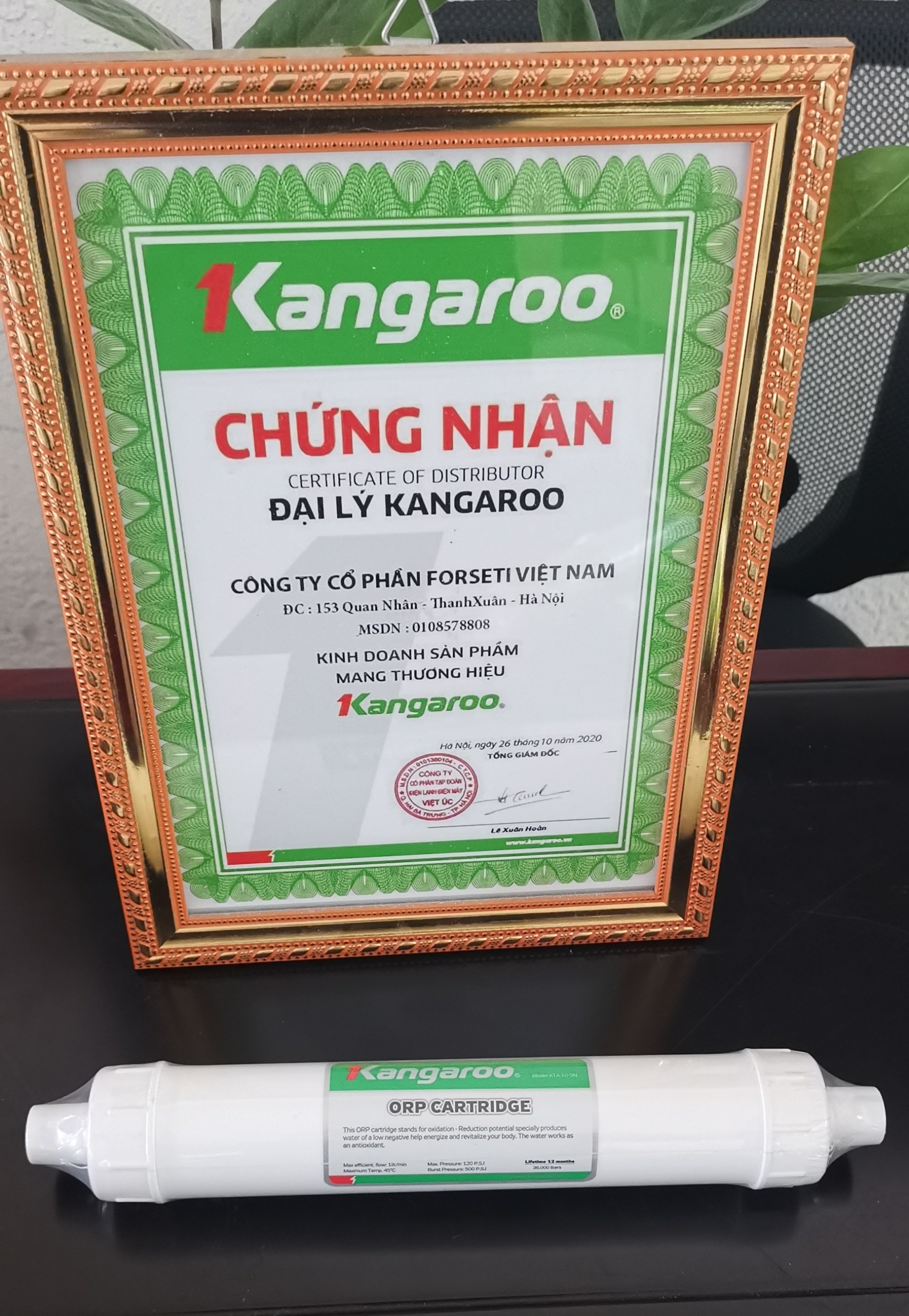 HÀNG CHÍNH HÃNG - Combo 3 lõi lọc nước Kangaroo - 789