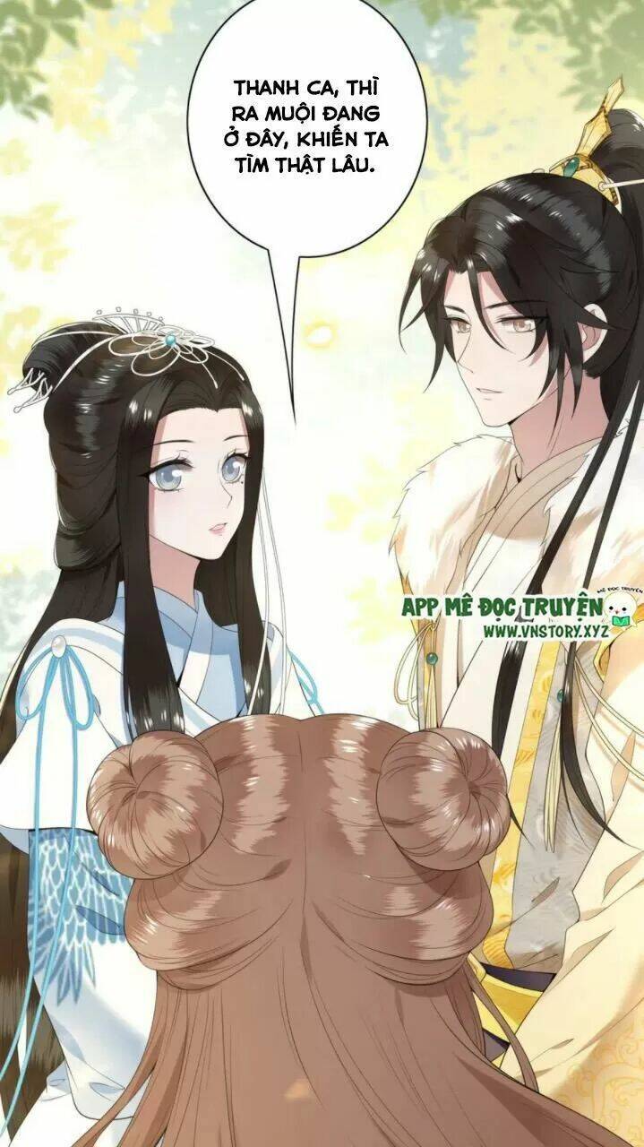 phượng hoàng vu phi chapter 81 18