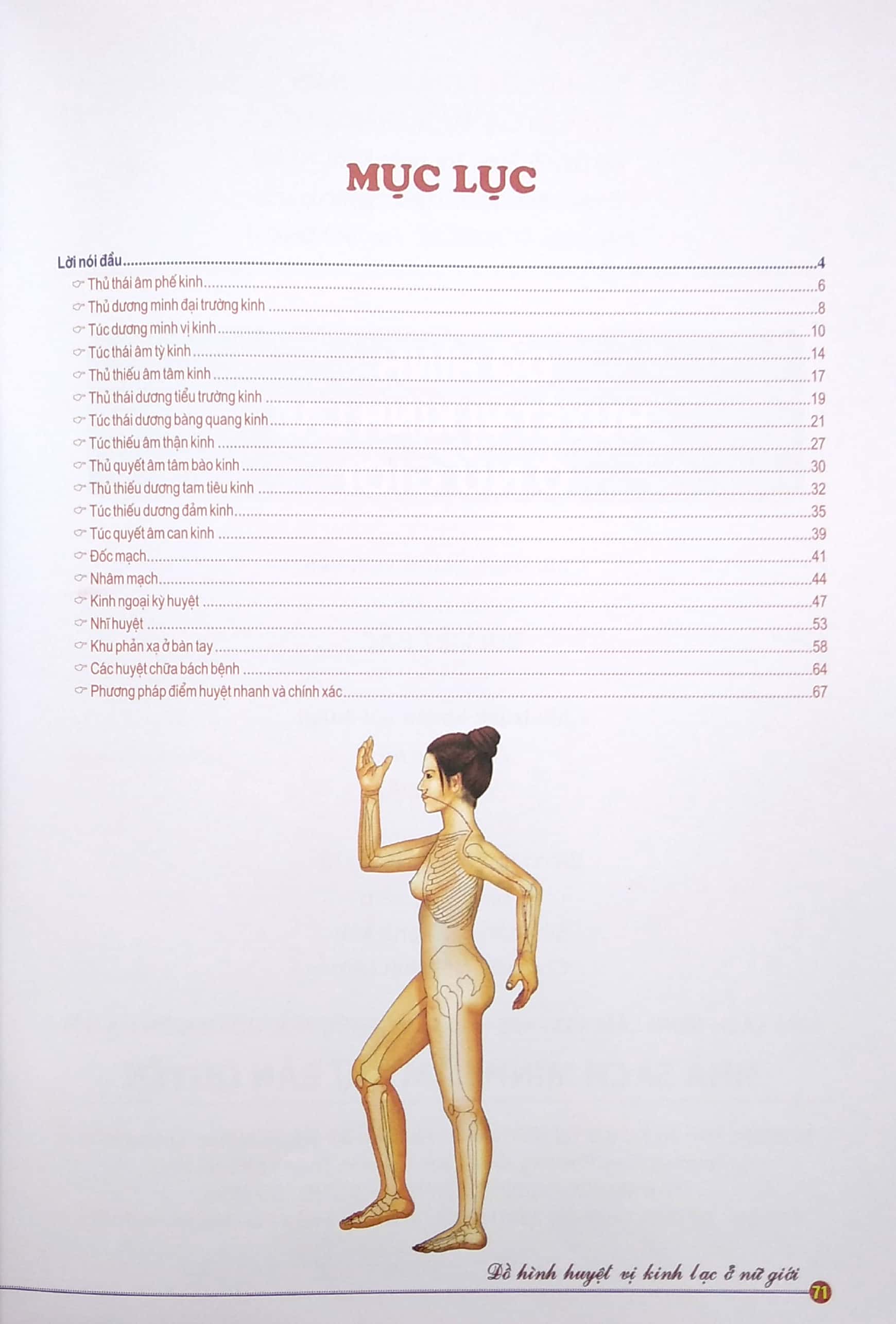 Đồ Hình Huyệt Vị Kinh Lạc Ở Nữ Giới