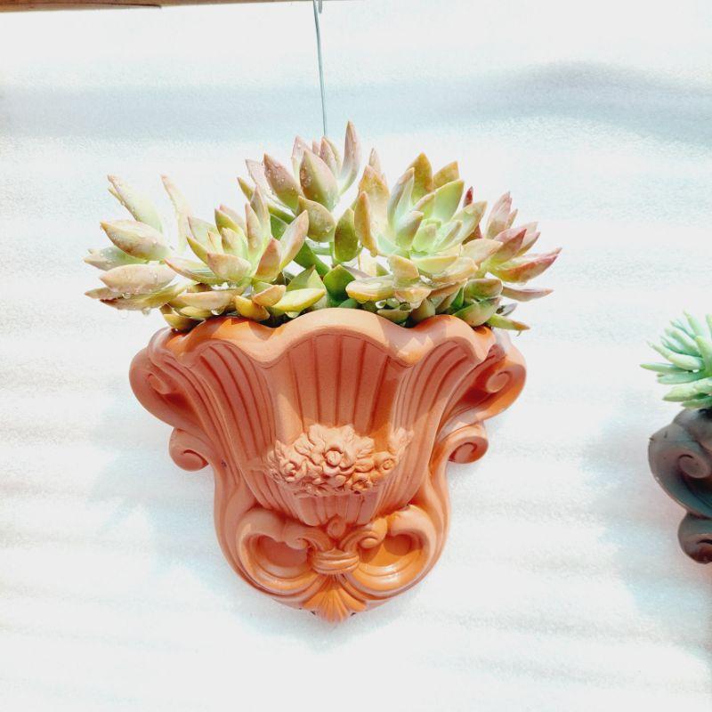 Chậu đất nung Bình Dương - Ốp tường hoa, miệng chậu 20cm x 9cm, chiếu cao 23cm