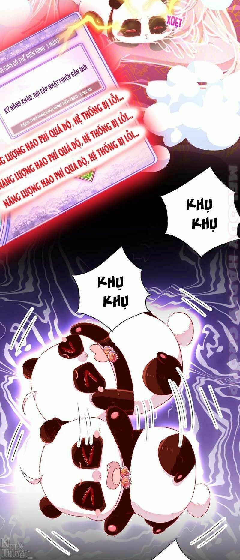 thiên thần gấu trúc muốn được ôm chapter 53 4