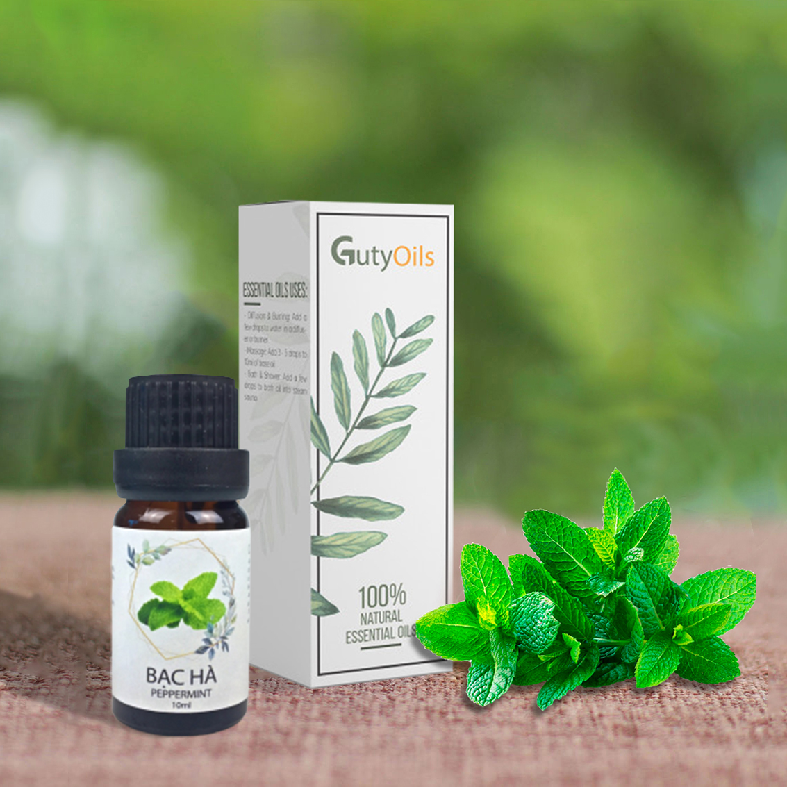 Tinh dầu bạc hà nguyên chất GUTY ( Peppermint essential Oil ) Lọ 10ml