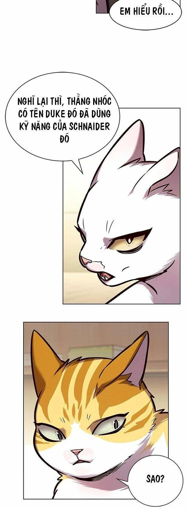 biến thân thành mèo chapter 218 40