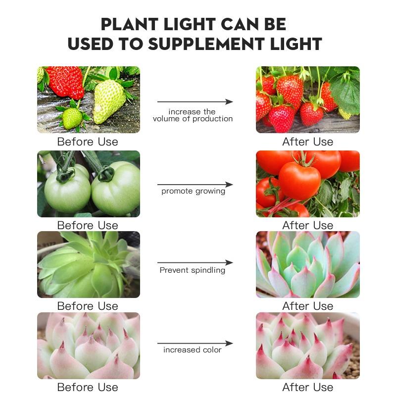 Bóng Đèn LED Trồng Cây E27 110v 220v Toàn Diện