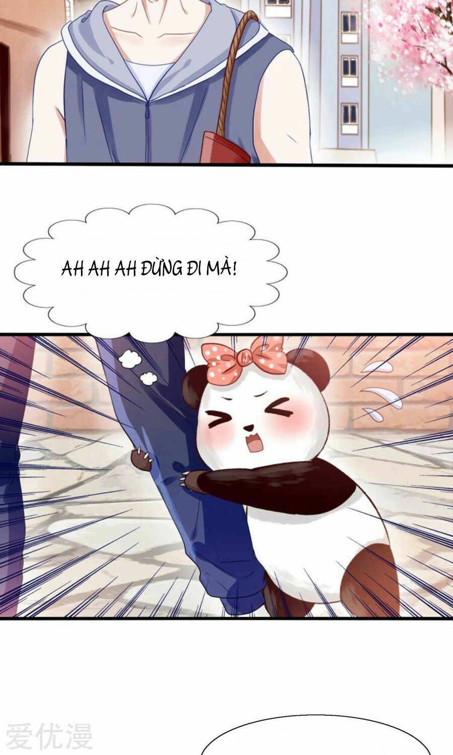 tôi bị gấu trúc nhìn trúng rồi chapter 1 9