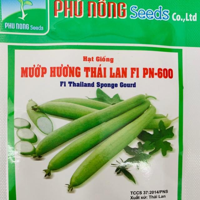 Hạt giống mướp hương