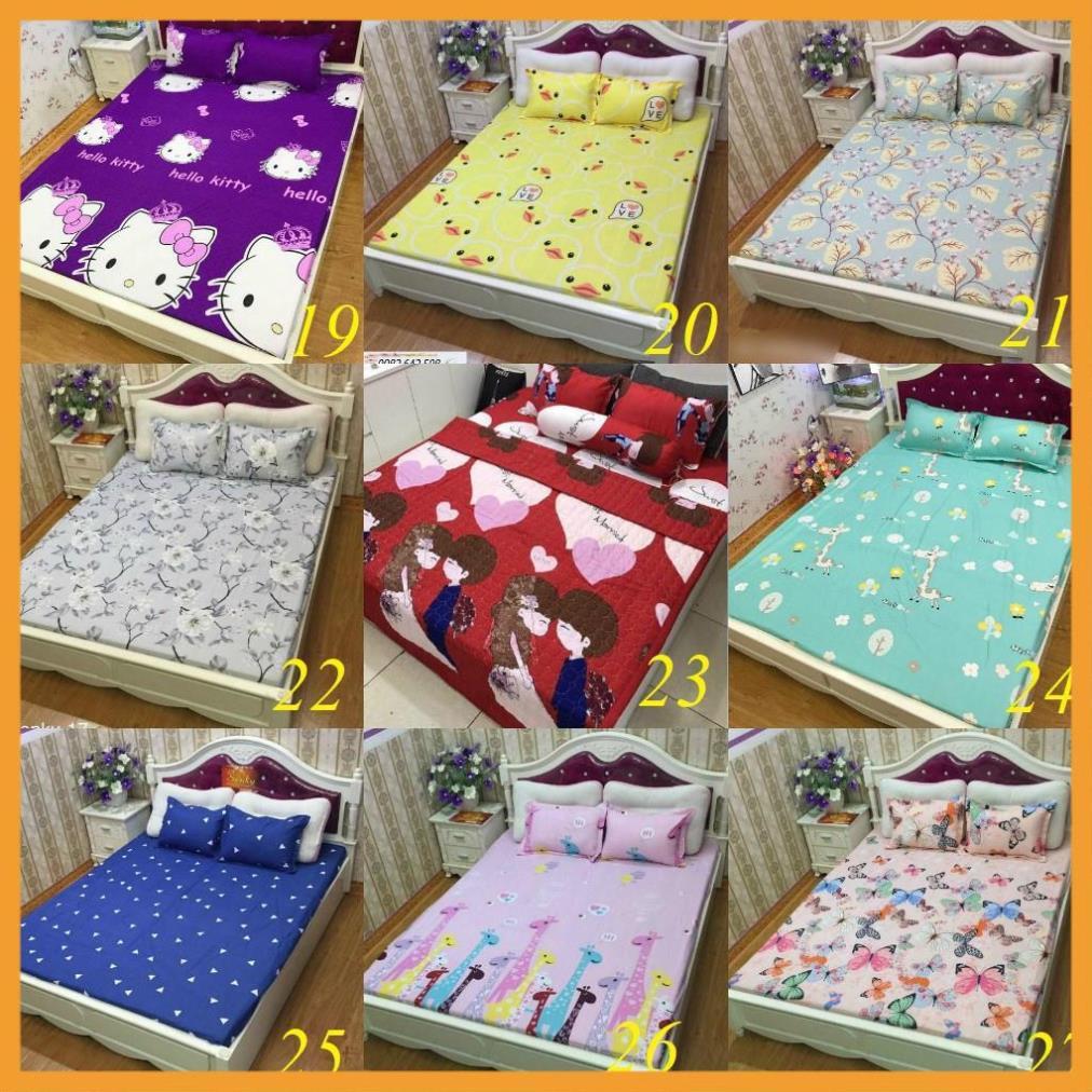 Bộ ga gối poly cotton m2 m6 m8 2m2 mẫu ô tô xanh
