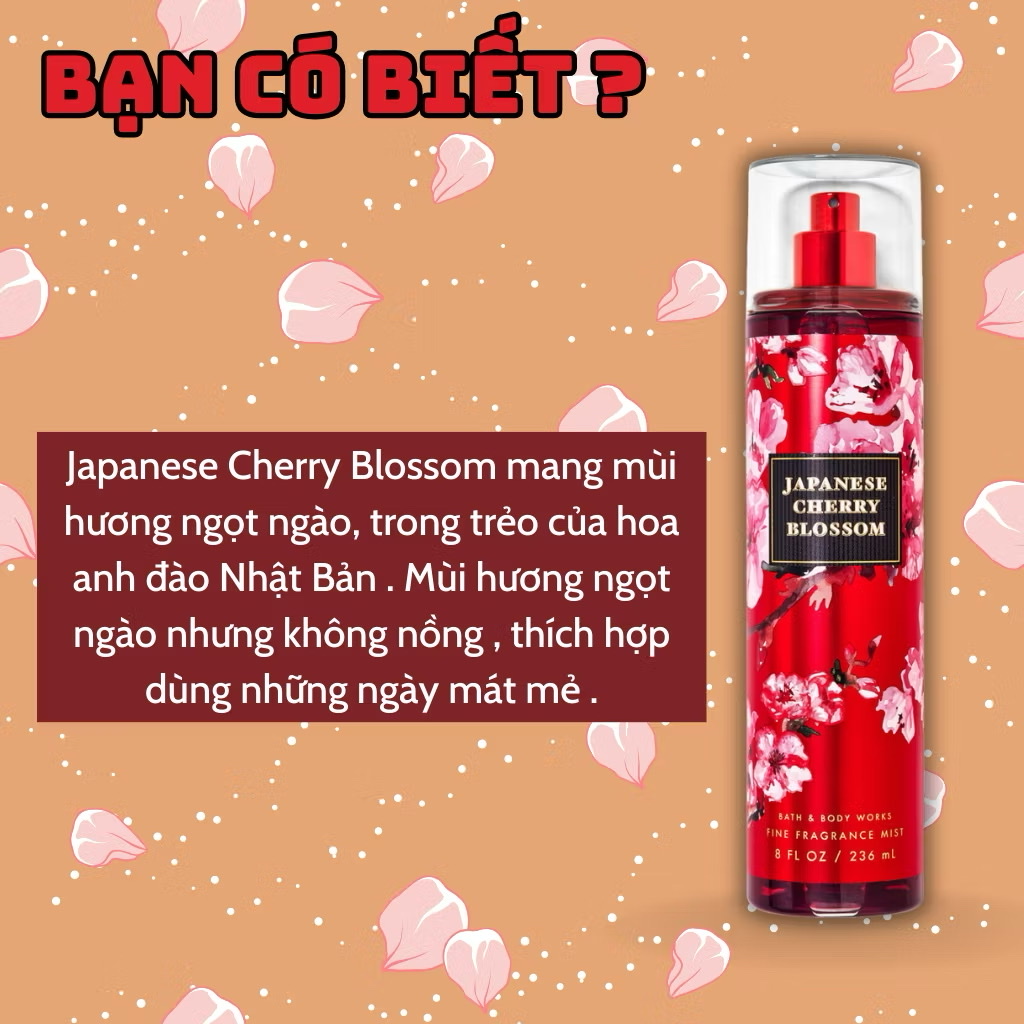 Body Mist Bath And Body Works Nam Nữ Chính Hãng Japanese Cherry Blossom, Xịt Thơm Body Toàn Thân Hương Nước Hoa 236ml