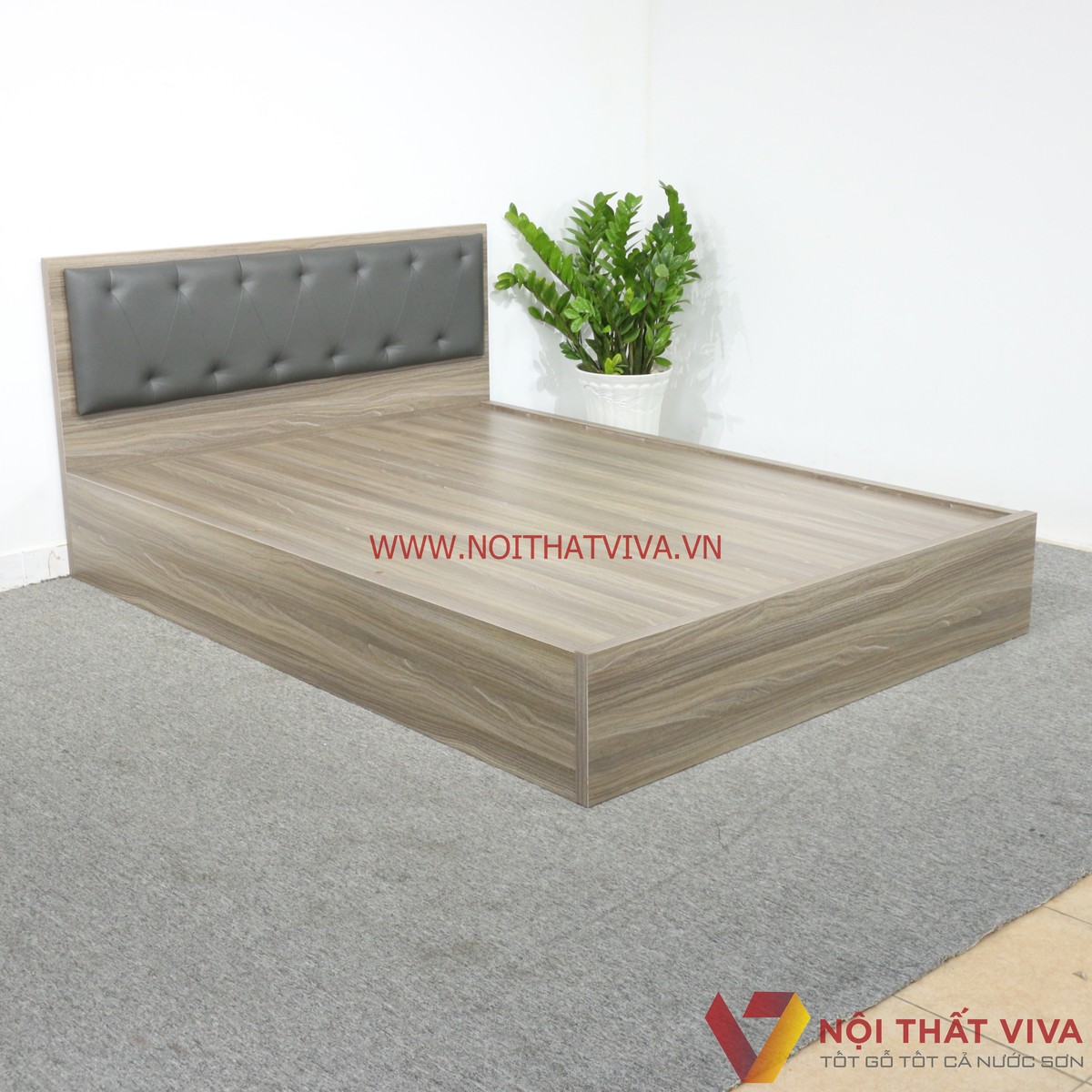Giường Ngủ Gỗ MDF Melamine Màu Xám Vân Gỗ Có Đầu Nệm Đen Đẹp Giá Rẻ