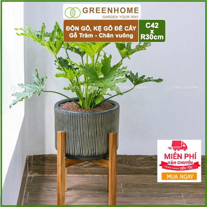 Kệ để chậu hoa, C42xR30cm, chân vuông, gỗ tràm siêu cứng |Greenhome