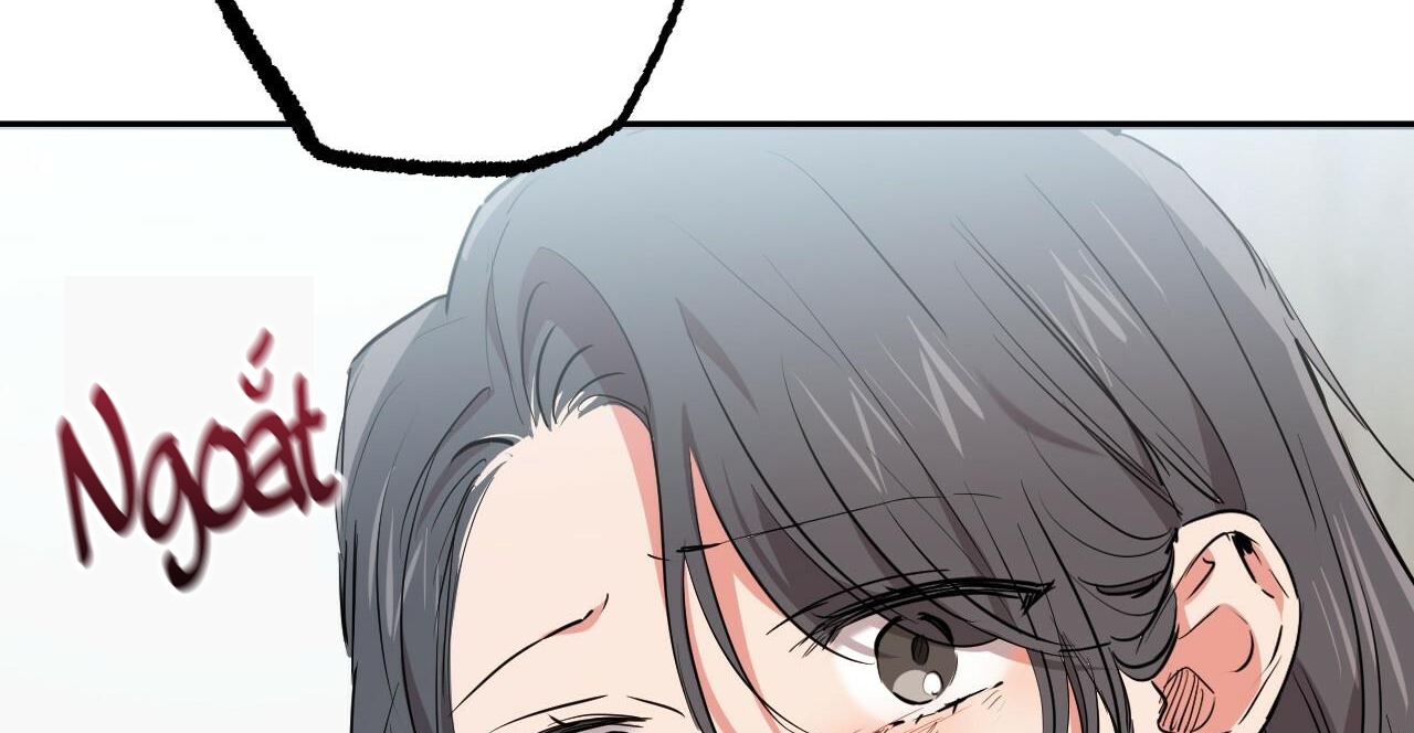 đàn thỏ của habibi chapter 36 256