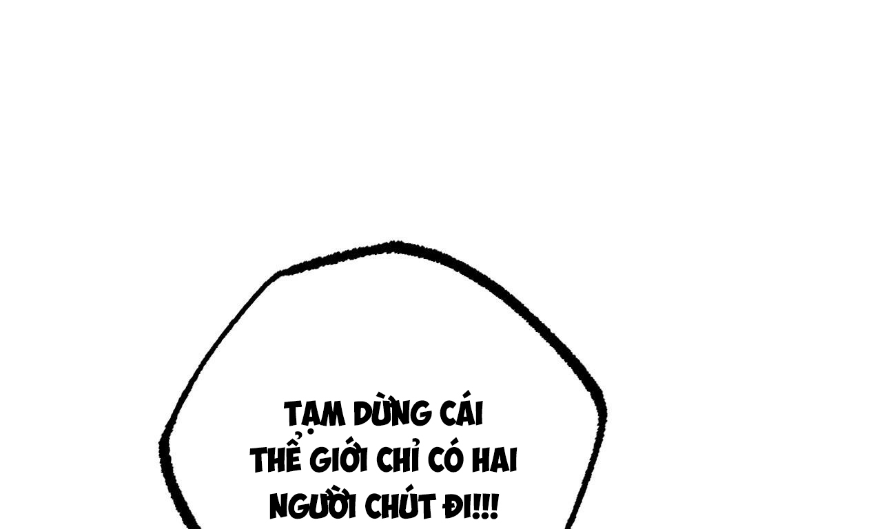 đàn thỏ của habibi chapter 39 259