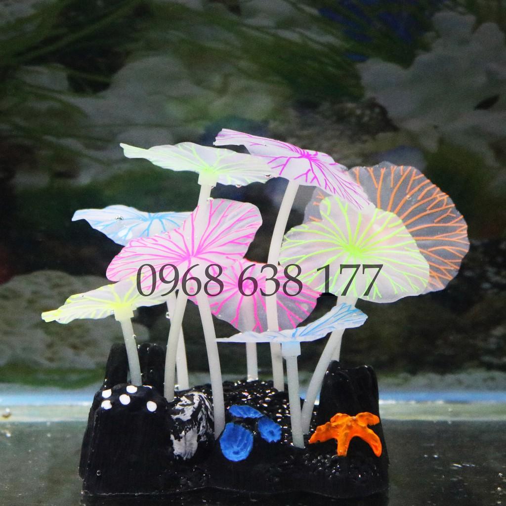 Lá Sen Dạ Quang trang trí bể cá cảnh