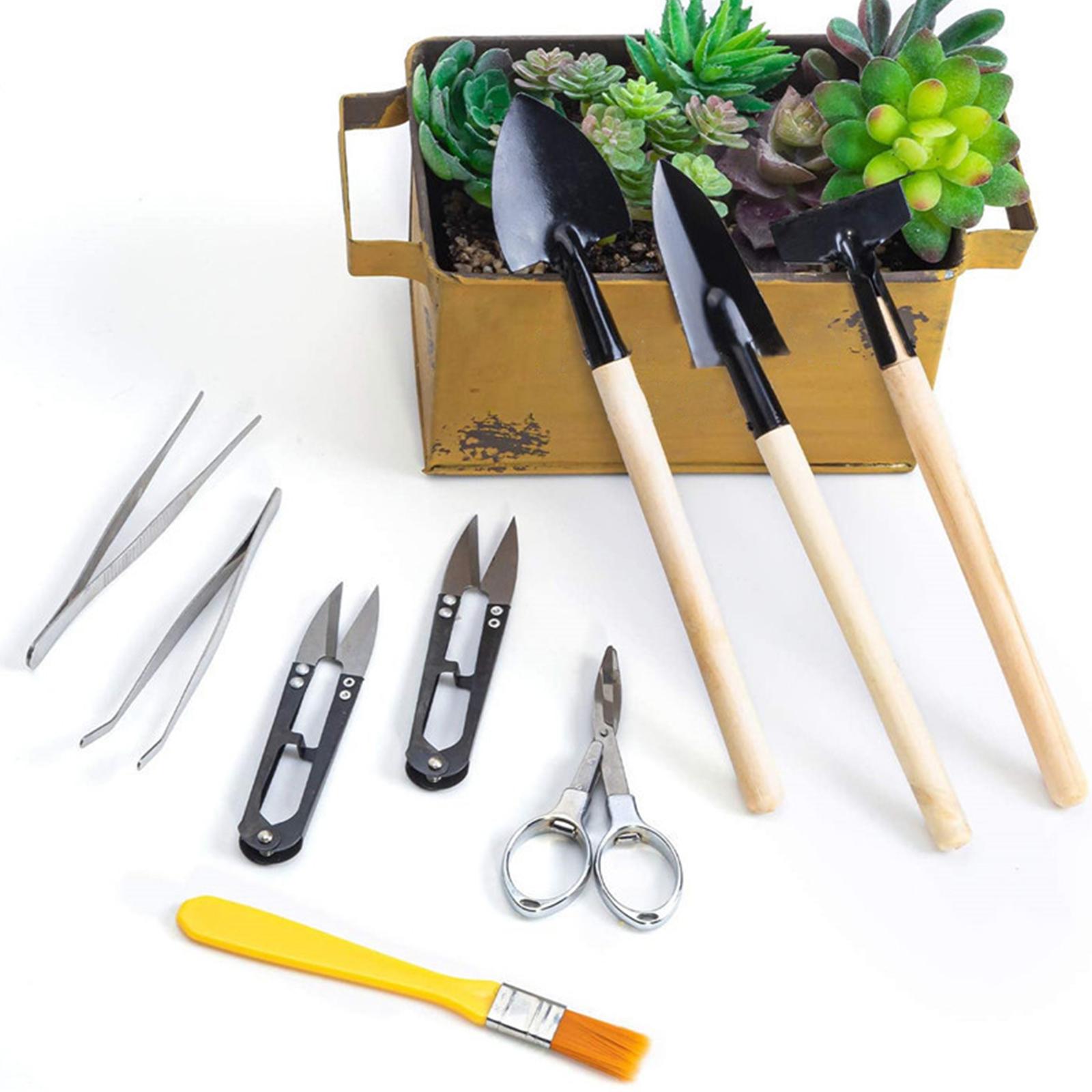 Bộ 12 Dụng Cụ Trồng Cây Trong Vườn Bonsai Cây Mọng Nước