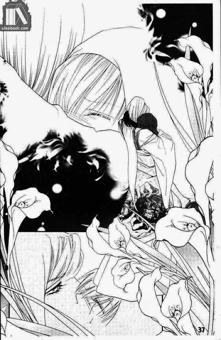 hoàng tử bóng đêm chapter 2 37