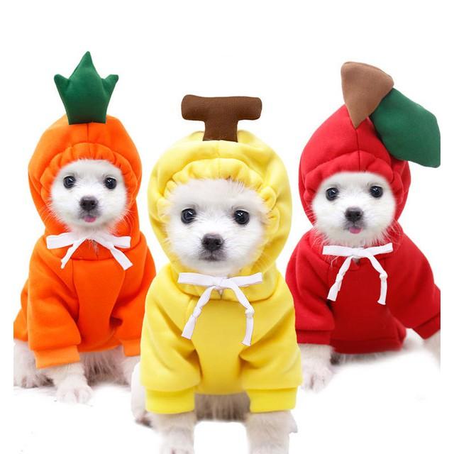 Áo cho chó mèo: Áo nỉ hoodie hình trái cây, con ếch cute dành cho thú cưng