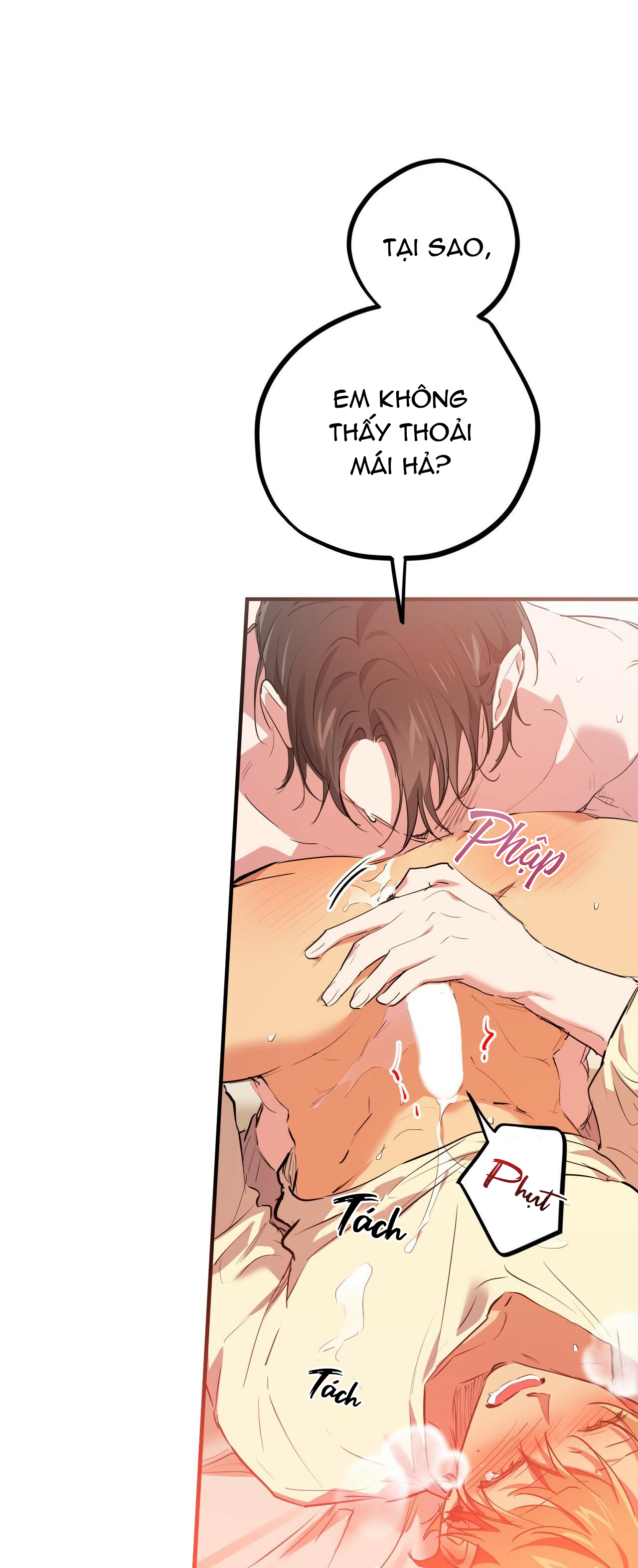 những chú thỏ của hapypy chapter 38 28