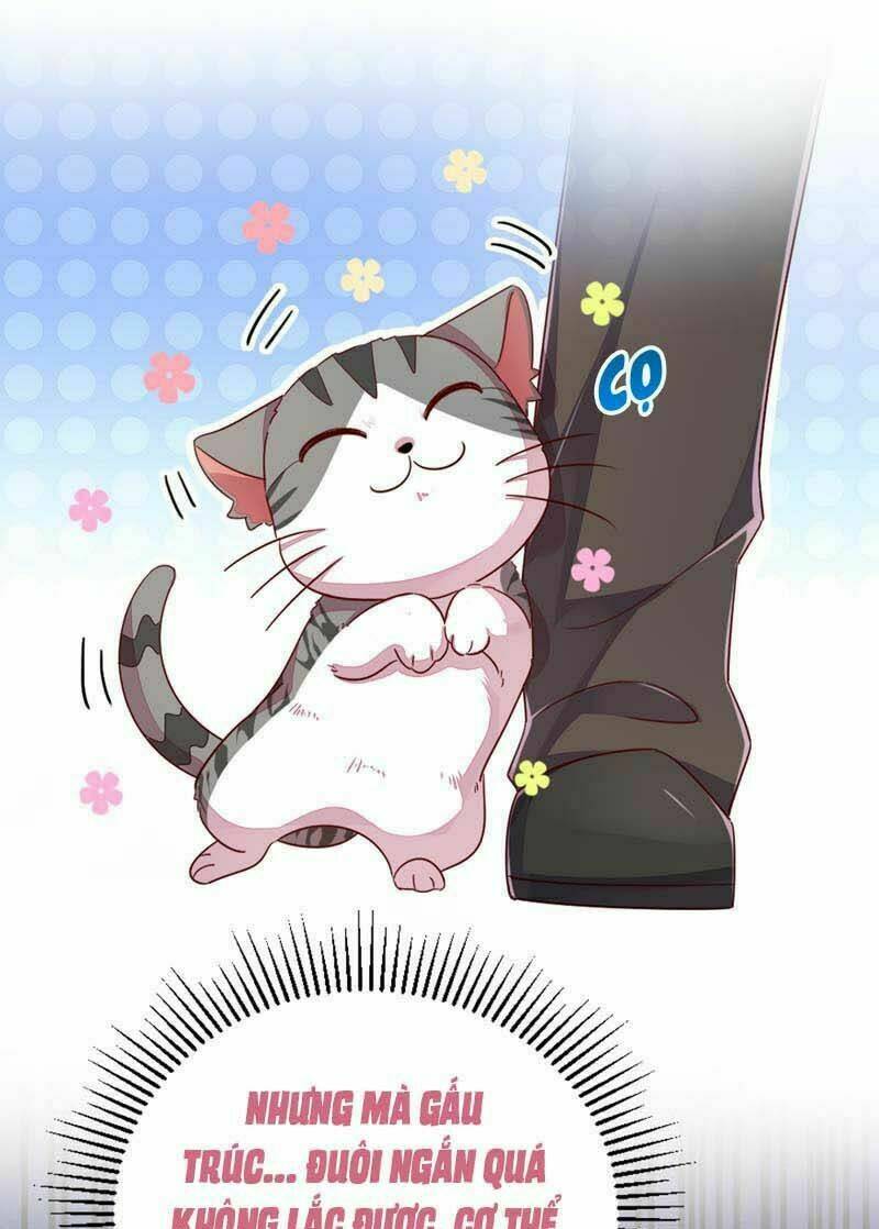 thiên thần gấu trúc muốn được ôm chapter 42 7