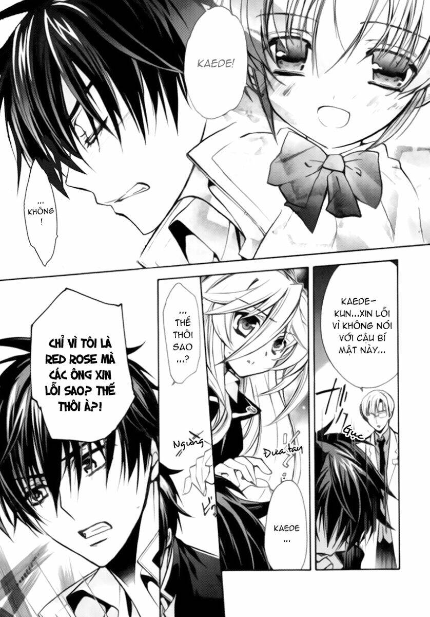 nụ hôn của công chúa tường vi chapter 10 7