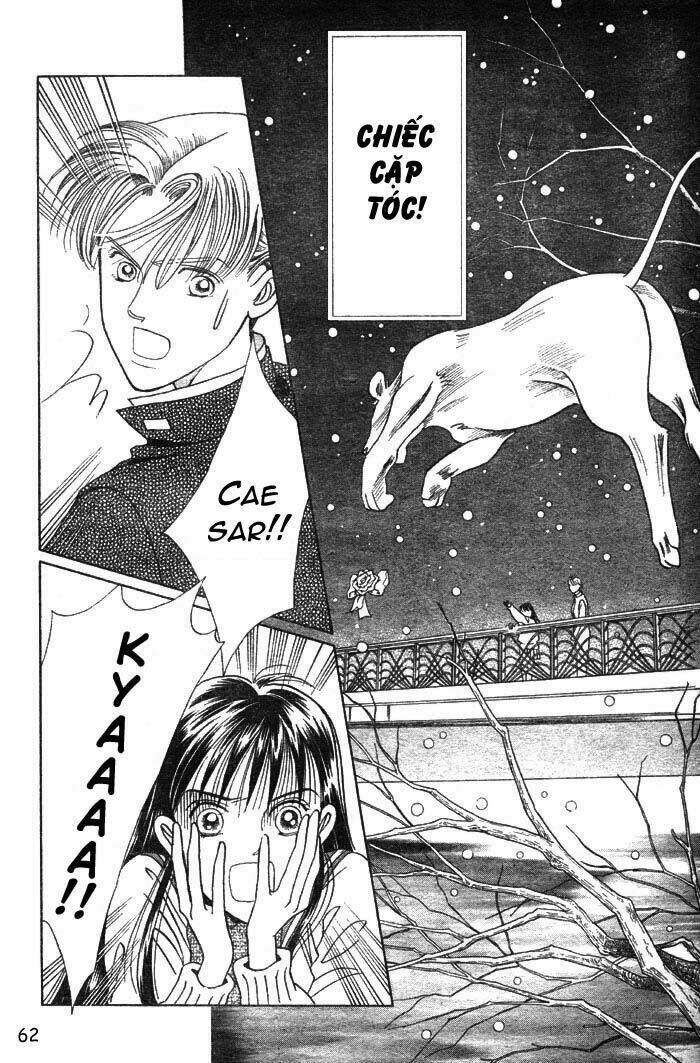 wild cats chapter 1 65