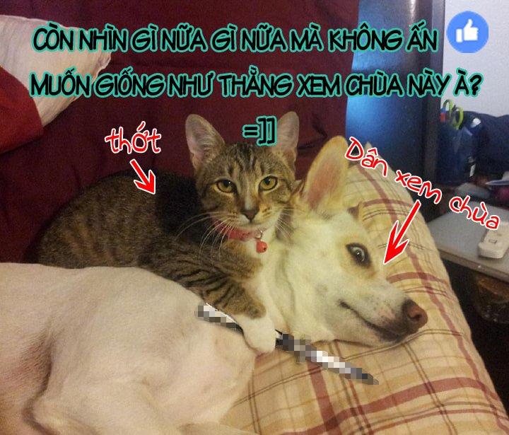 youkoso jitsuryoku shijou shugi no kyoushitsu e: other school days chapter 1 18