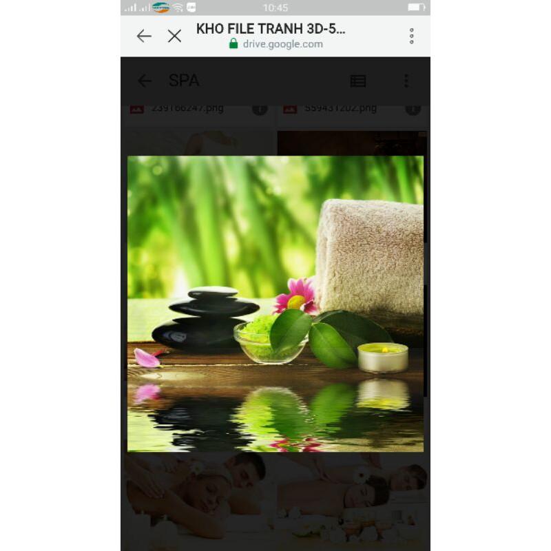 Tranh 3D trang trí quán spa khổ dọc KT cao 1.25m*0.8m có keo sẵn